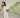 Best Hand-Embroidered Shawls in Pakistan