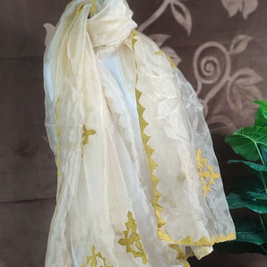 Skin organza dopatta
