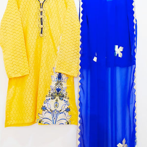 Net kurta with applique dopatta